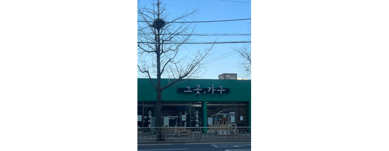 울산 남구 흙침대