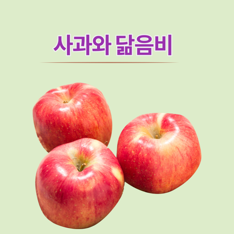 사과와 닮음비