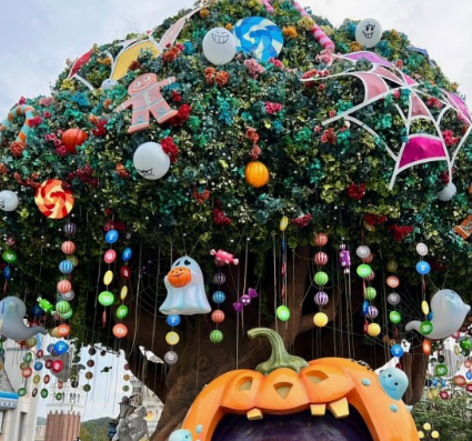 2024 에버랜드 은행나무숲산책 신청