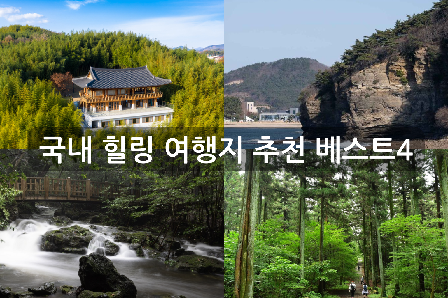 피톤치드 가득한 초록 숲길