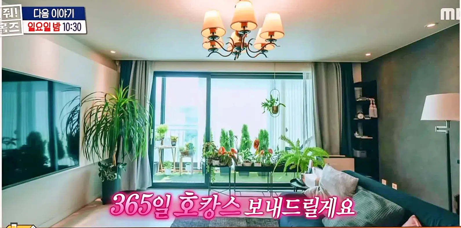 구해줘홈즈 구로구 금천구 관악구 용인 수지 기흥 매매 최대 10억 5천 풀멍꽃멍 아파트 호텔리모델루나 아트갤러리 왔구로 동백웃음꽃 필무렵 수지맞은 베란다 매물