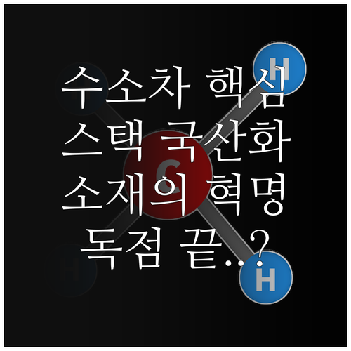 수소 전기차 스택 핵심 부품 국산화 ..