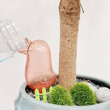 사회복지사 자격증 추천
