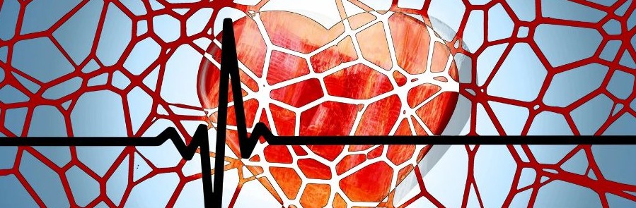 경동맥 협착증 치료