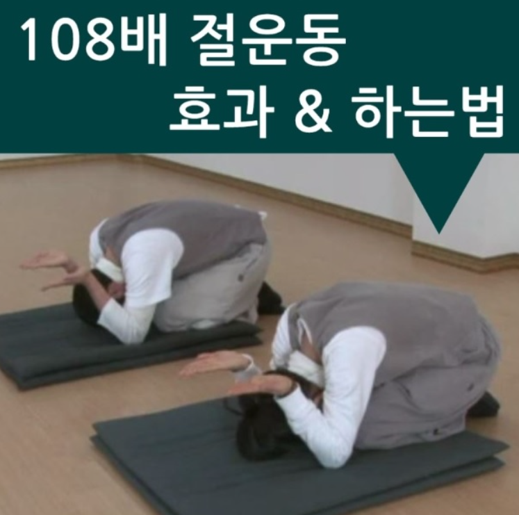 108배 의미, 108배하는 법, 108배 효과