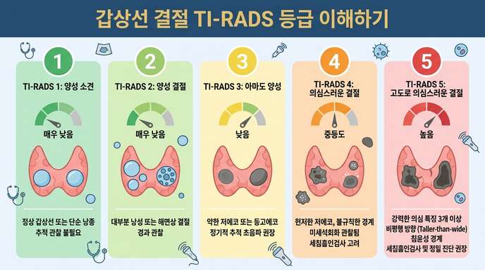 TI-RADS 갑상선 결절 등급