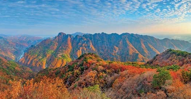 2025 청량산 가을 단풍여행 ❘ 최단코스&middot;실시간 단풍 현황&middot;주차장 안내