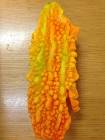 여주 재배 그늘 관리 수분 공급 여름 고온 대책_11