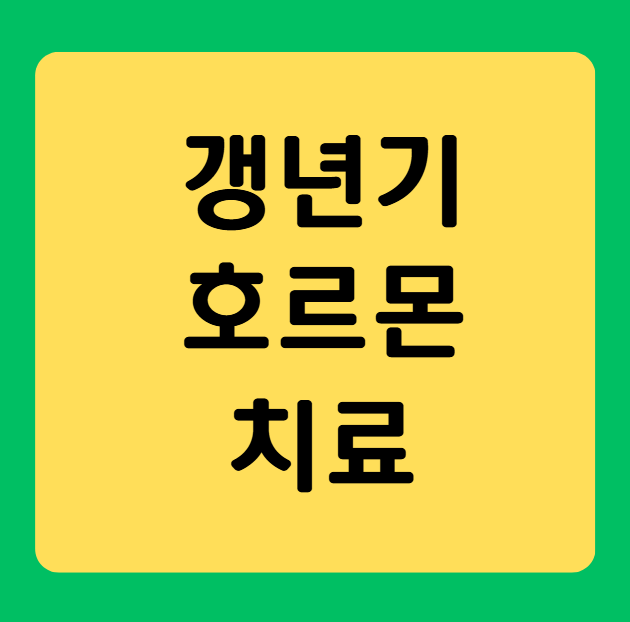 갱년기 호르몬치료 완벽 가이드