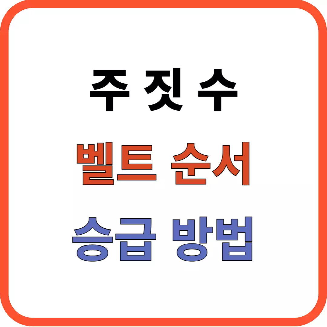 주짓수 벨트순서