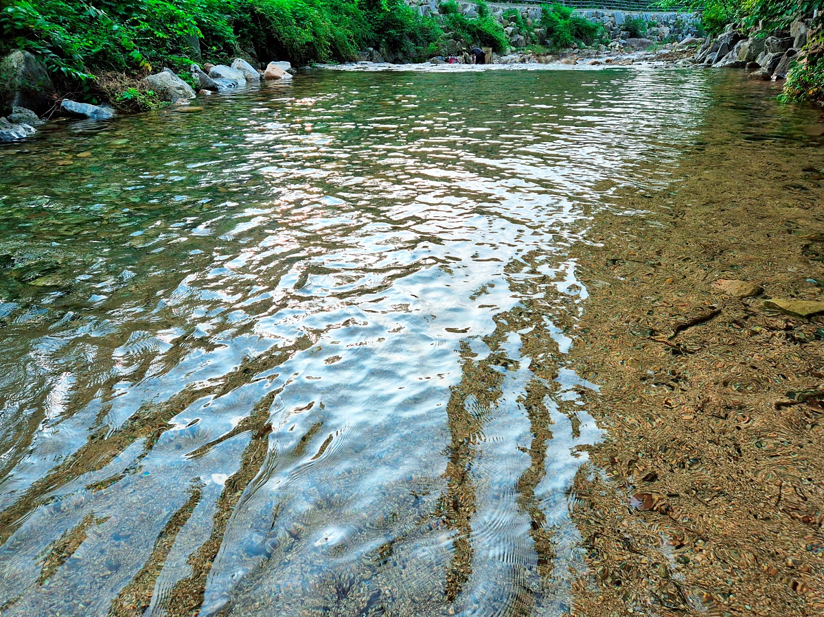 양주가볼만한곳, 송추계곡 글램핑 셀프 바베큐장: 서울근교 당일 글램핑 예약하기