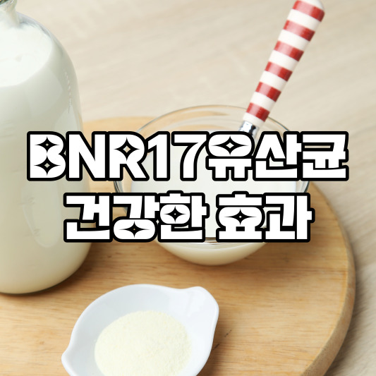 BNR17 유산균