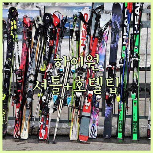 하이원 스키장 셔틀 운행 숙소부터 레..