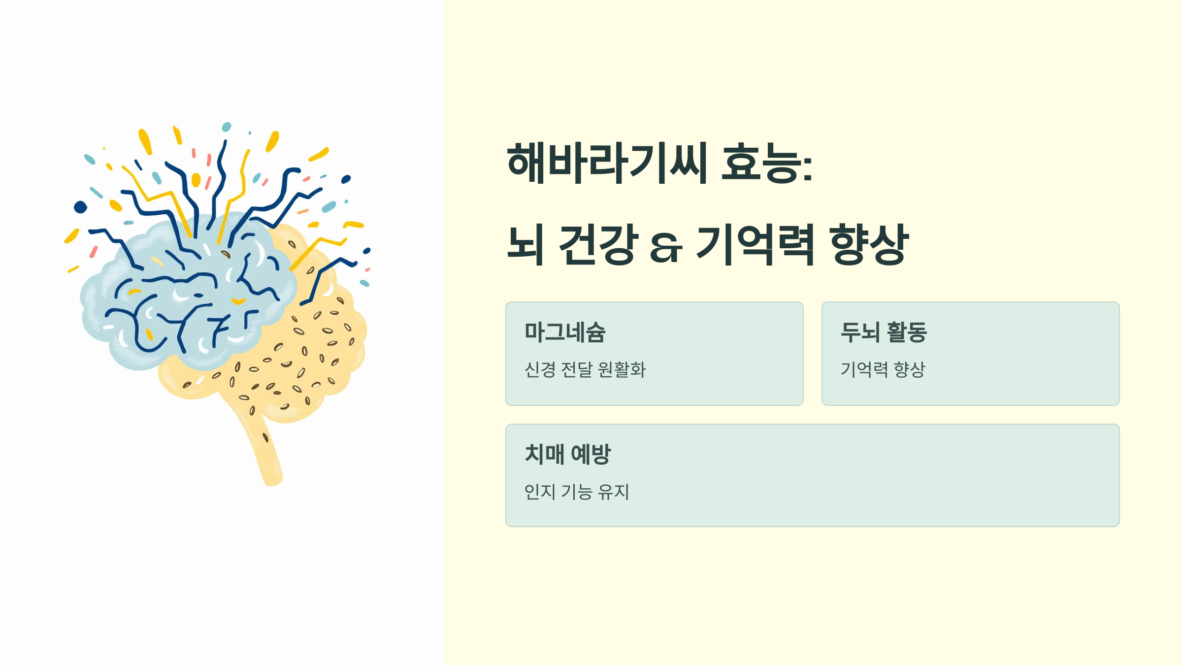 해바라기씨 사진입니다.