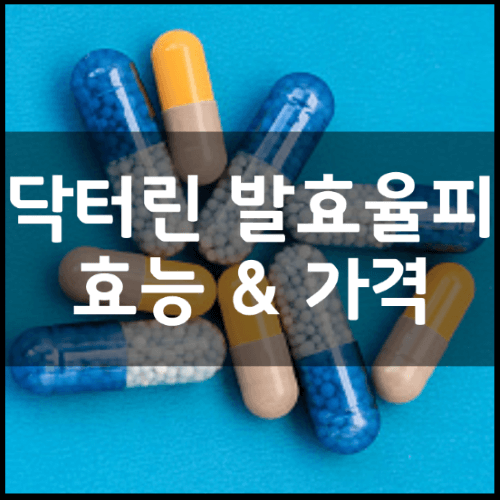 닥터린-발효율피-성분-효능-부작용-가격-정리