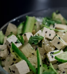 단백질 많은 음식 식물성 동물성