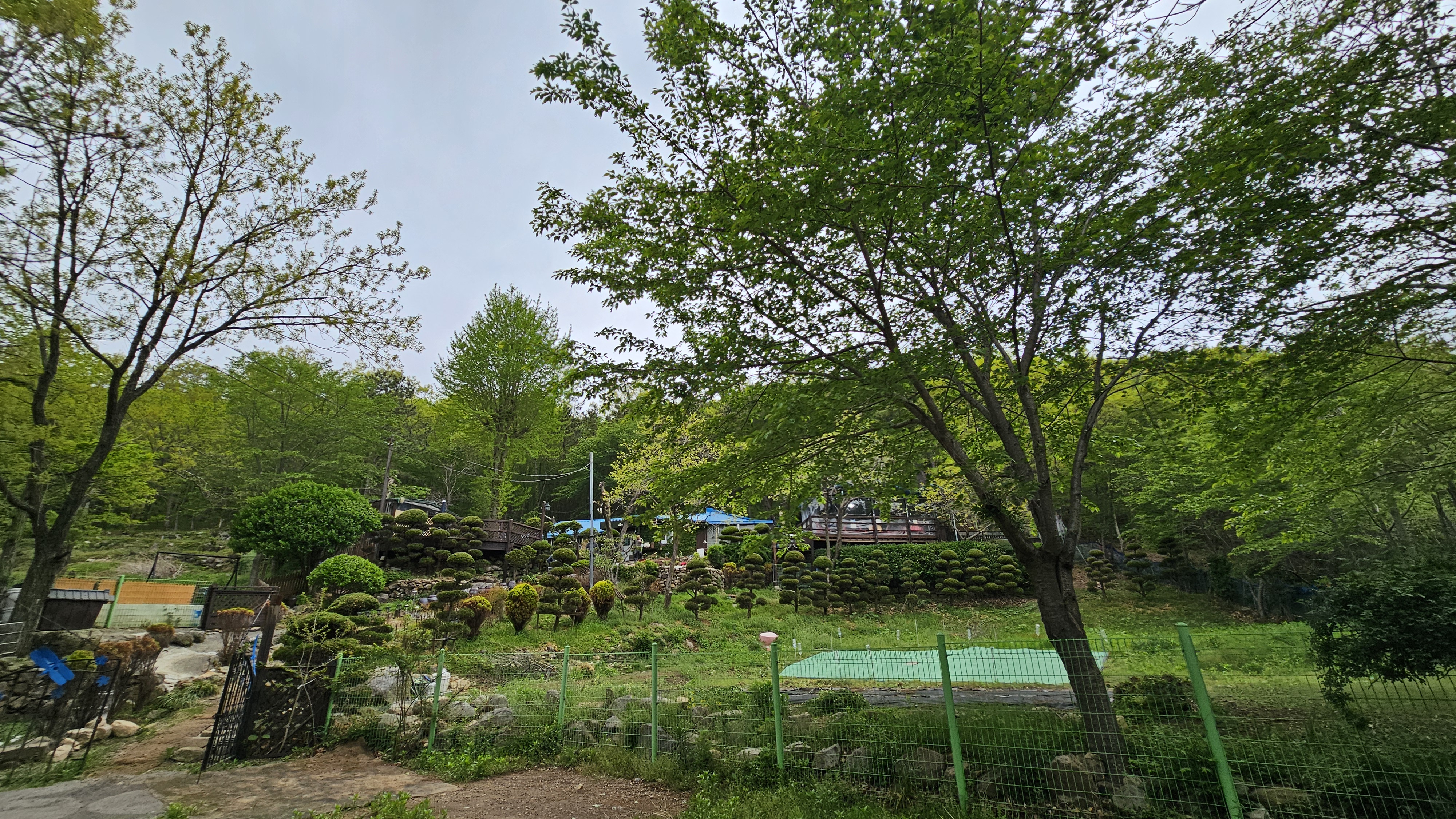 자연속 식당 세심원