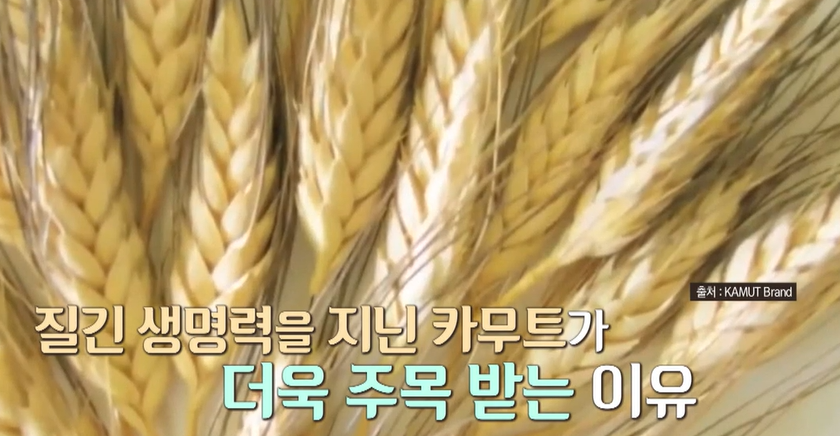 카무트