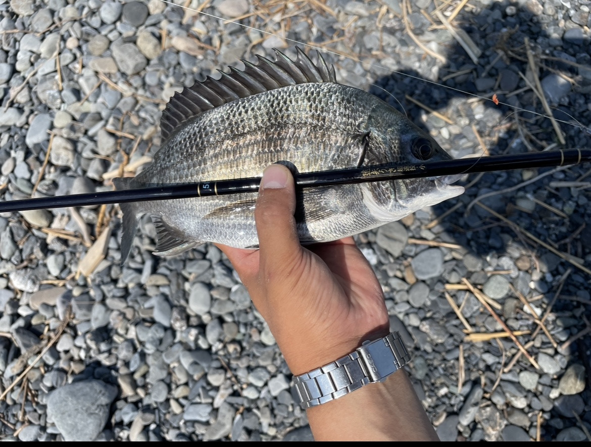 감성돔 찌낚시 채비