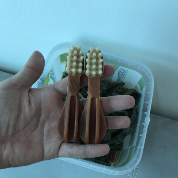 윔지스(whimzees) 칫솔