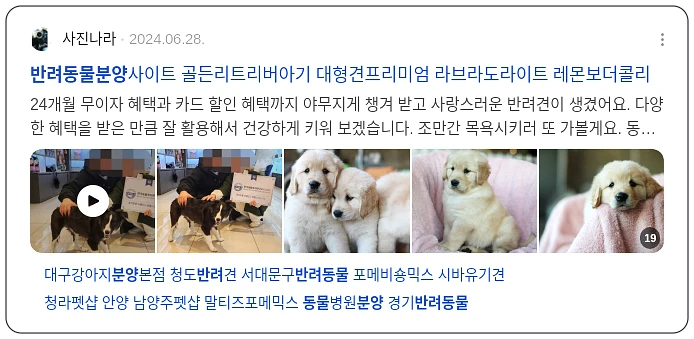 반려동물 분양_1_subsection