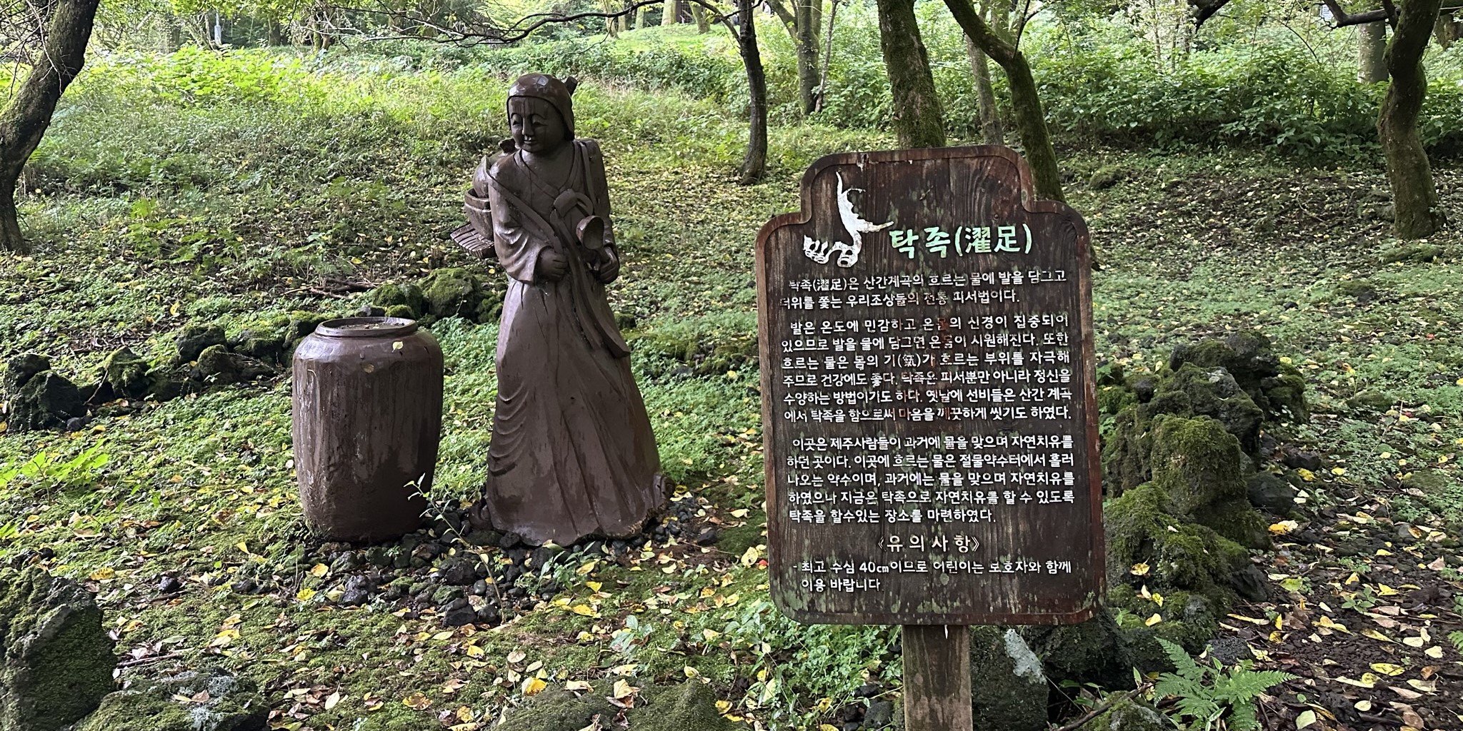 절물 휴양림 족욕탕