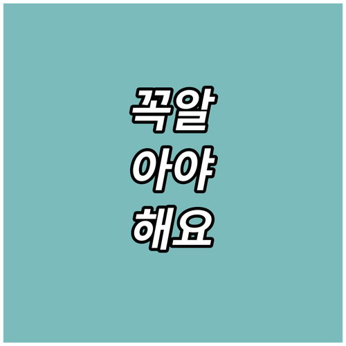 2025 강북구 공영주차장 감면 대상..