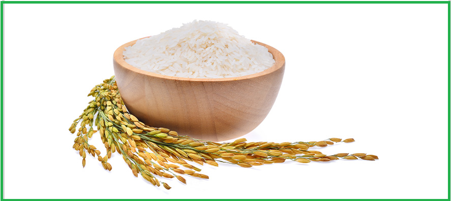 옥타코사놀 함유유지