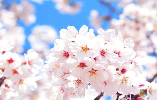 숙박 세일 페스타