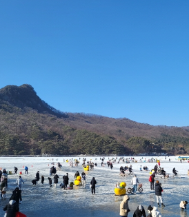 생방송투데이 썰매축제 경기도 포천