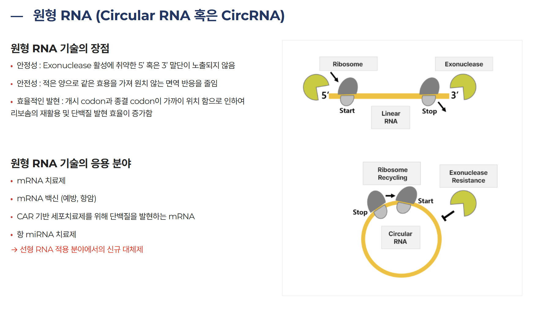 알지노믹스 공모주 상장일 청약 공모가 총정리