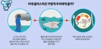 뇌를 잠식하는 미세 플라스틱 보이지 않는 위협_12