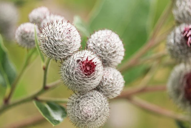 독립 영화 수익 모델과 배급 전략