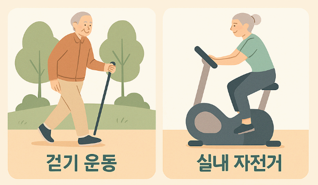 노인을 위한 심폐 지구력 향상 운동 프로그램