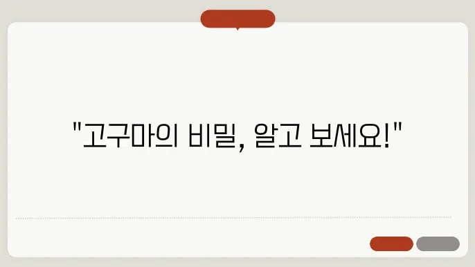 고구마 효능 및
고구마 보관하는법