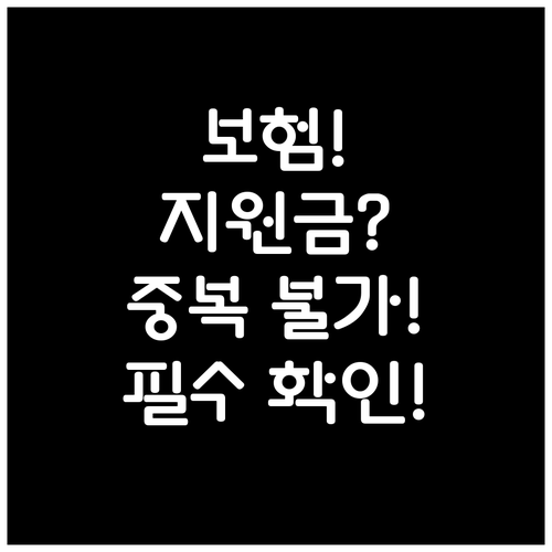 정책보험 풍수해보험 재난지원금 중복 ..