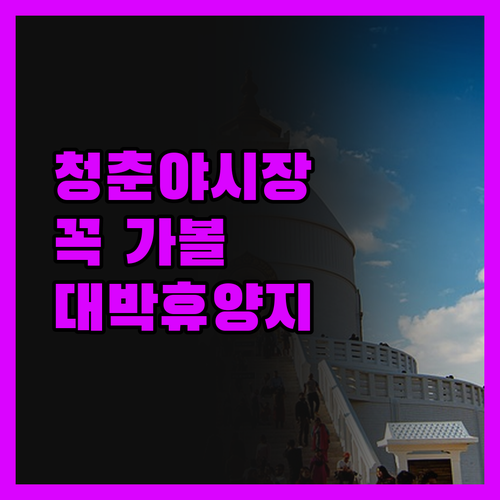 청춘야시장 꼭 가봐야 할 이유 스위트