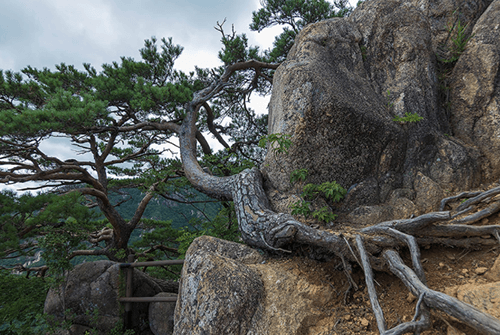 칠불봉06