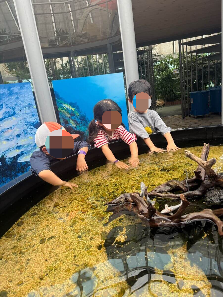 용인 동천자연식물원 아이와 닥터피쉬 체험
