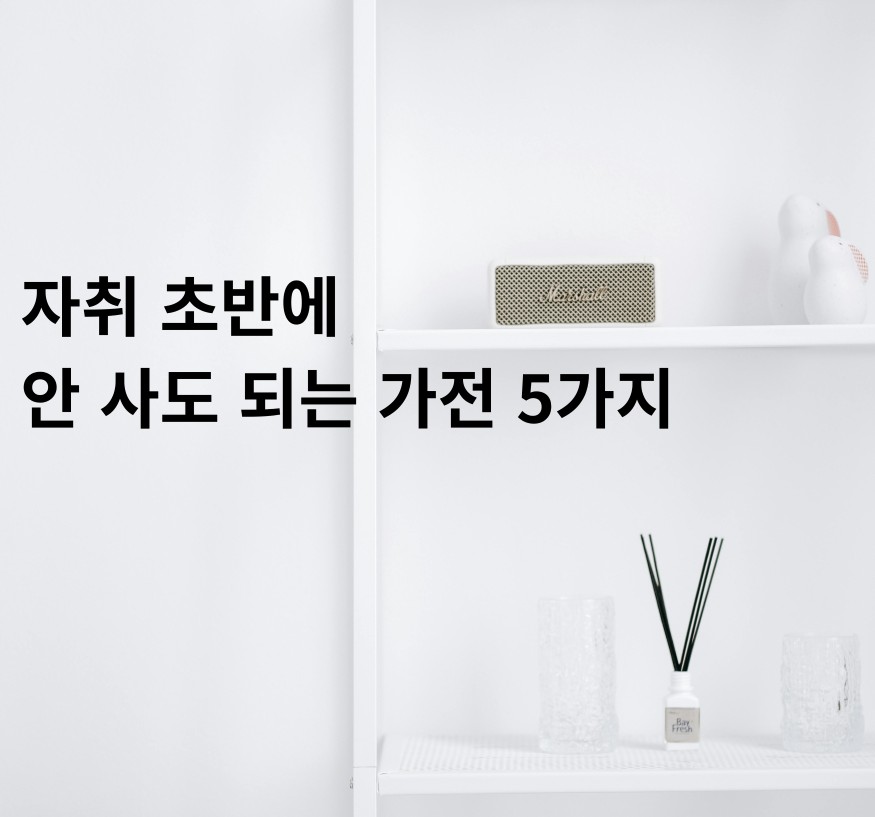 자취 초반 안 사도 되는 가정 5가지 대표 이미지