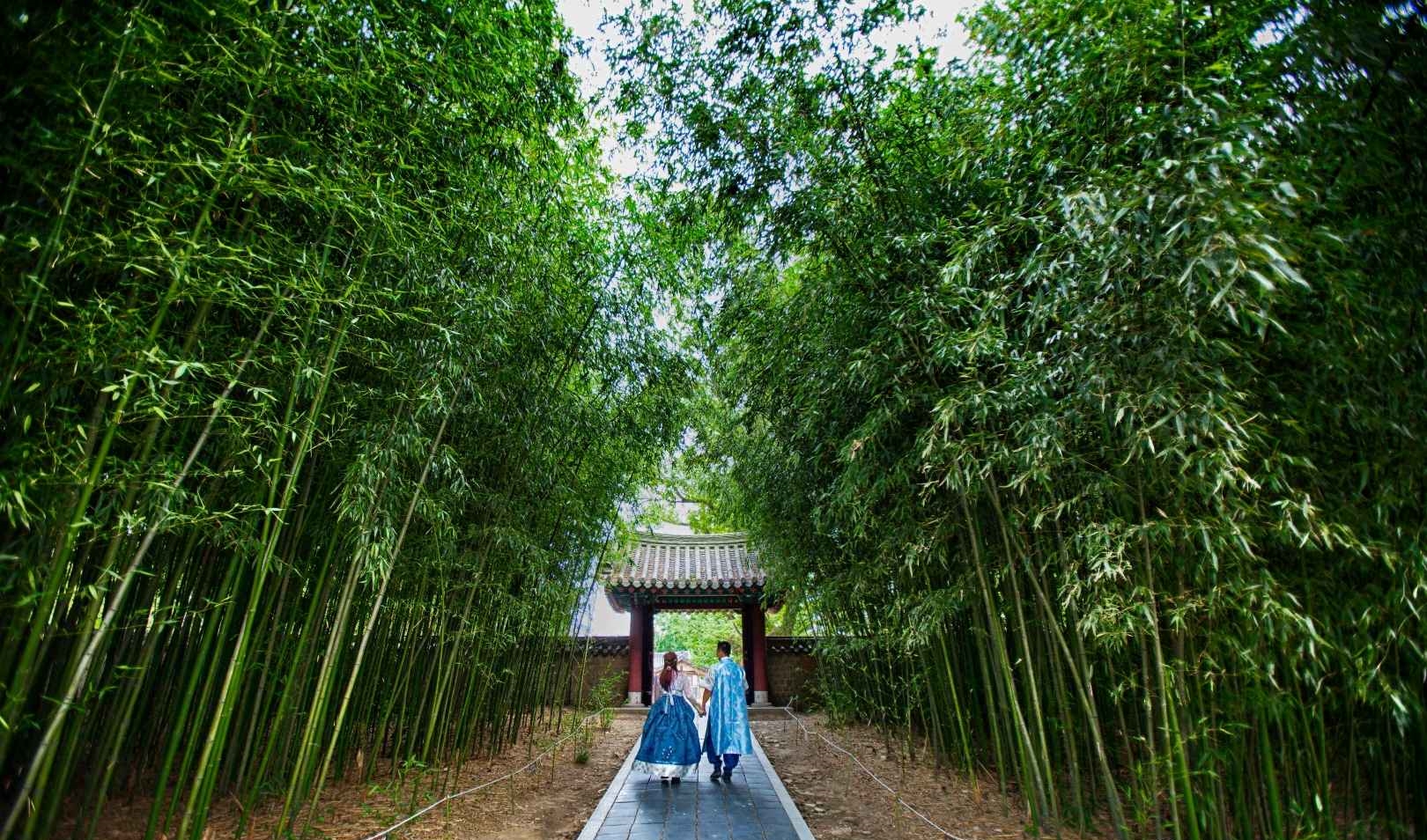 전주 경기전 나들이