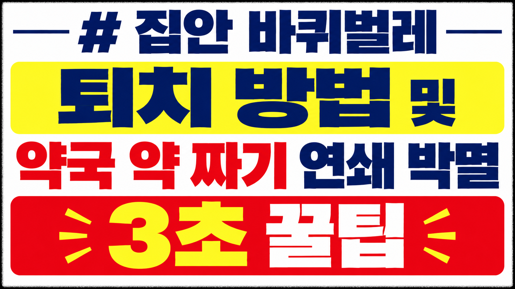 집안 바퀴벌레 퇴치 방법 및 약국 약 짜기 연쇄 박멸 투입 3초 꿀팁