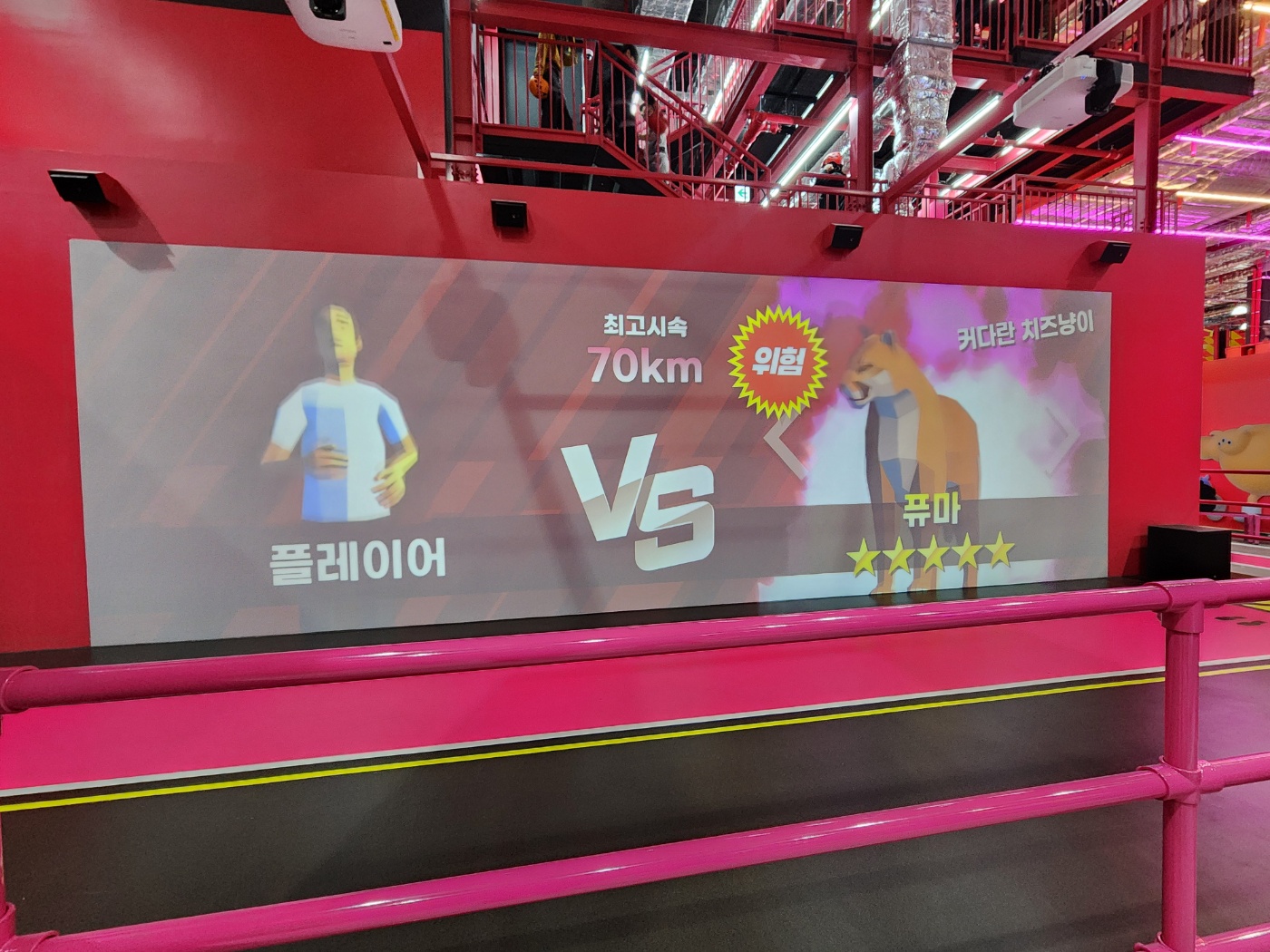 동물과 달리기대결