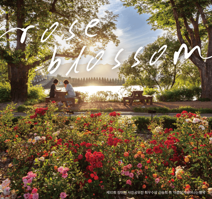 장미원축제