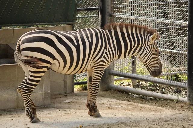 후쿠오카 근교 여행 유후인 버스투어_8