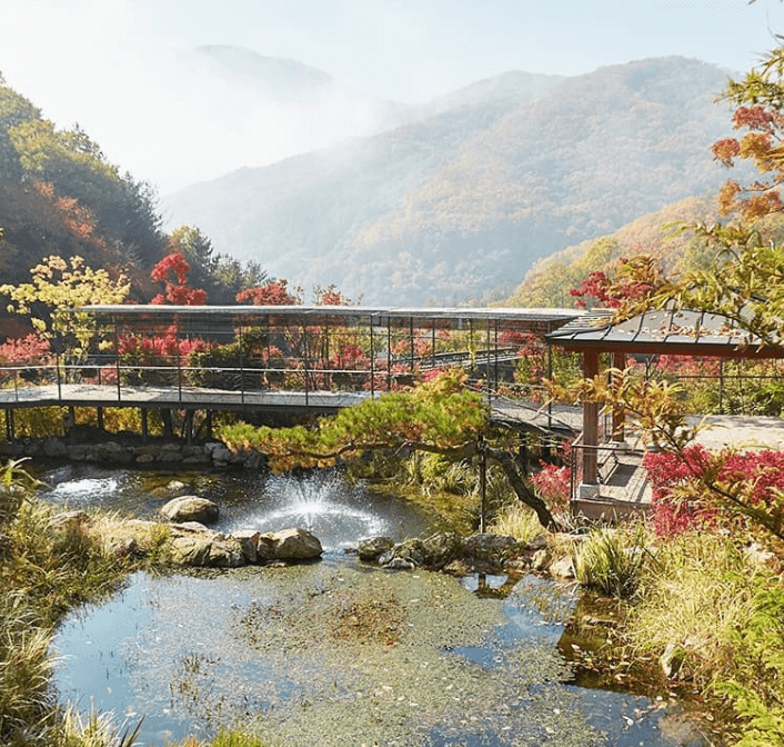 화담숲 단풍 시기