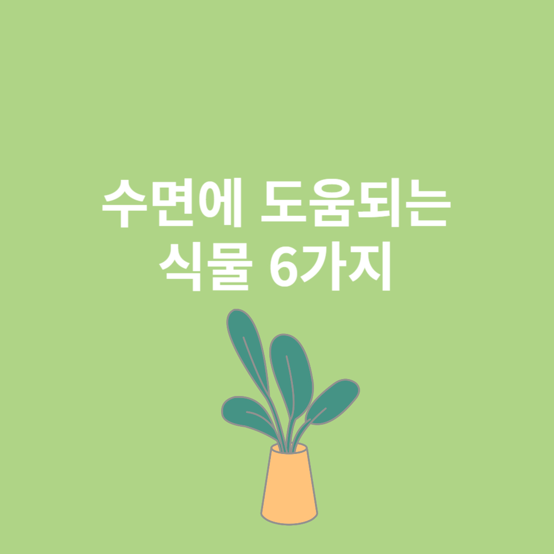수면에 도움되는 식물 6가지