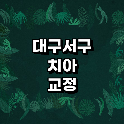 대구 서구 교정 치과