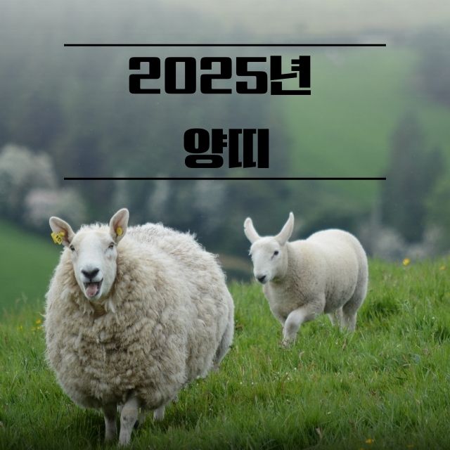 2025년 양띠
