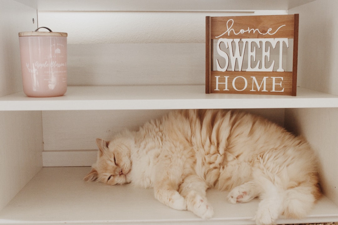Home care.